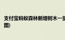 支付宝蚂蚁森林新增树木一览(支付宝蚂蚁森林新增树木一览图)
