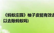 《蚂蚁庄园》柚子皮能有效去除室内空气中的甲醛(柚子皮可以去除蚂蚁吗)