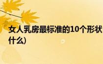 女人乳房最标准的10个形状(女人乳房最标准的10个形状是什么)