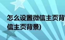 怎么设置微信主页背景(苹果手机怎么设置微信主页背景)
