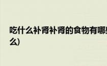 吃什么补肾补肾的食物有哪些(补肾的食物有哪些大全 吃什么)