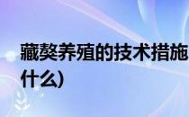 藏獒养殖的技术措施(藏獒养殖的技术措施是什么)