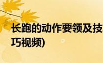 长跑的动作要领及技巧(长跑的动作要领及技巧视频)