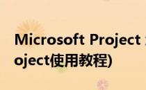 Microsoft Project 怎么上手(microsoft project使用教程)