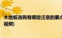 木地板选购有哪些注意的要点(木地板选购有哪些注意的要点视频)
