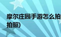 摩尔庄园手游怎么拍照(手机版摩尔庄园怎么拍照)