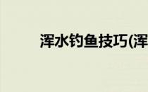 浑水钓鱼技巧(浑水钓鱼技巧图解)
