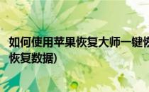 如何使用苹果恢复大师一键恢复(如何使用苹果恢复大师一键恢复数据)
