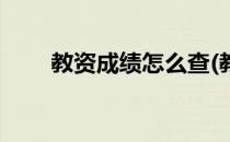 教资成绩怎么查(教资成绩怎么查询)