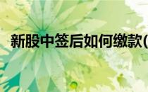 新股中签后如何缴款(新股中签后怎样缴款)