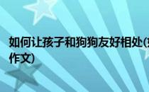 如何让孩子和狗狗友好相处(如何让孩子和狗狗友好相处英语作文)