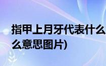指甲上月牙代表什么意思(指甲上月牙代表什么意思图片)