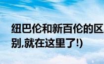 纽巴伦和新百伦的区别(纽巴伦和新百伦的区别,就在这里了!)