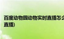 百度动物园动物实时直播怎么在手机上观看(百度动物园网上直播)