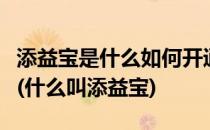 添益宝是什么如何开通添益宝有什么优惠之处(什么叫添益宝)