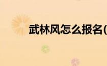 武林风怎么报名(如何报名武林风)