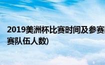 2019美洲杯比赛时间及参赛队伍(2019美洲杯比赛时间及参赛队伍人数)