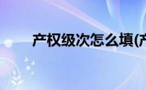 产权级次怎么填(产权级次怎么填的)
