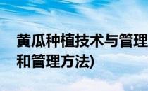 黄瓜种植技术与管理方法(秋黄瓜的种植时间和管理方法)