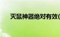 灭鼠神器绝对有效(最有效的灭鼠神器)