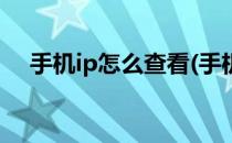手机ip怎么查看(手机ip地址怎么查看ip)