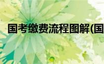 国考缴费流程图解(国考缴费流程图解官网)
