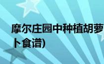 摩尔庄园中种植胡萝卜的步骤(摩尔庄园胡萝卜食谱)