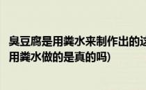 臭豆腐是用粪水来制作出的这种传说是否可信(听说臭豆腐是用粪水做的是真的吗)