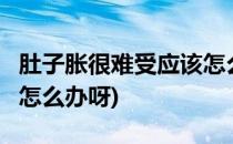 肚子胀很难受应该怎么办(肚子胀,很难受,应该怎么办呀)