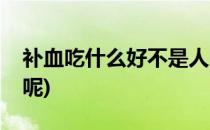 补血吃什么好不是人人都知道(补血吃什么好呢)
