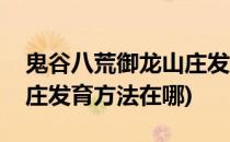 鬼谷八荒御龙山庄发育方法(鬼谷八荒御龙山庄发育方法在哪)