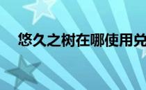 悠久之树在哪使用兑换码(悠久之树版号)