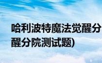 哈利波特魔法觉醒分院测试(哈利波特魔法觉醒分院测试题)