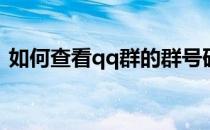 如何查看qq群的群号码(qq群怎么看群号码)