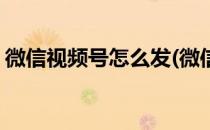 微信视频号怎么发(微信视频号怎么发朋友圈)