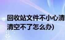 回收站文件不小心清空怎么恢复(回收站文件清空不了怎么办)