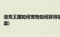 洛克王国如何宠物如何获得装备(洛克王国宠物装备怎么刷橙装)