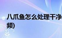 八爪鱼怎么处理干净(八爪鱼怎么处理干净视频)