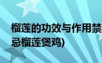 榴莲的功效与作用禁忌(榴莲的功效与作用禁忌榴莲煲鸡)