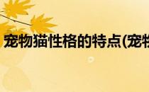 宠物猫性格的特点(宠物猫性格的特点和缺点)