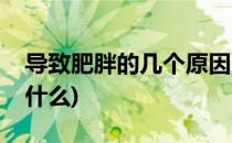 导致肥胖的几个原因(导致肥胖的几个原因是什么)