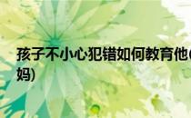 孩子不小心犯错如何教育他(孩子不小心犯错,如何教育他妈妈)