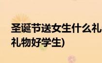 圣诞节送女生什么礼物好(圣诞节送女生什么礼物好学生)