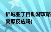 稻城亚丁自助游攻略(稻城亚丁自助游攻略有高原反应吗)