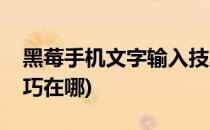 黑莓手机文字输入技巧(黑莓手机文字输入技巧在哪)