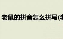 老鼠的拼音怎么拼写(老鼠的拼音怎么写的拼)