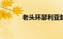 老头环瑟利亚封印钥匙怎么用