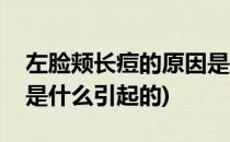 左脸颊长痘的原因是什么(左脸颊长痘的原因是什么引起的)
