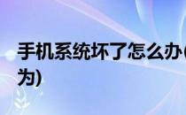 手机系统坏了怎么办(手机系统坏了怎么办 华为)