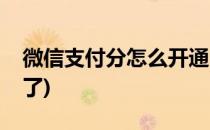 微信支付分怎么开通(微信支付分怎么开通不了)